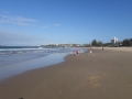 DSC01087