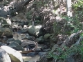 DSC01208