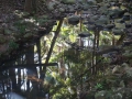 DSC01216
