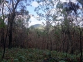 DSC01115