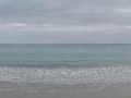 DSC00528