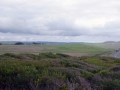 DSC00580