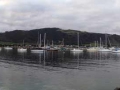 DSC00591