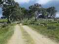 2014 07 1 Graham farm + 040