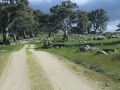 2014 07 1 Graham farm + 041