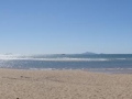 DSC01291