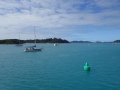 DSC01371