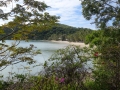 DSC01377