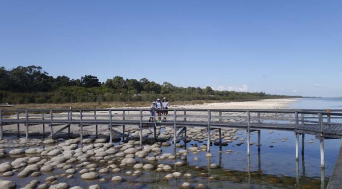 Western Australia Jour 3 / Clifton Lake – Bunburry